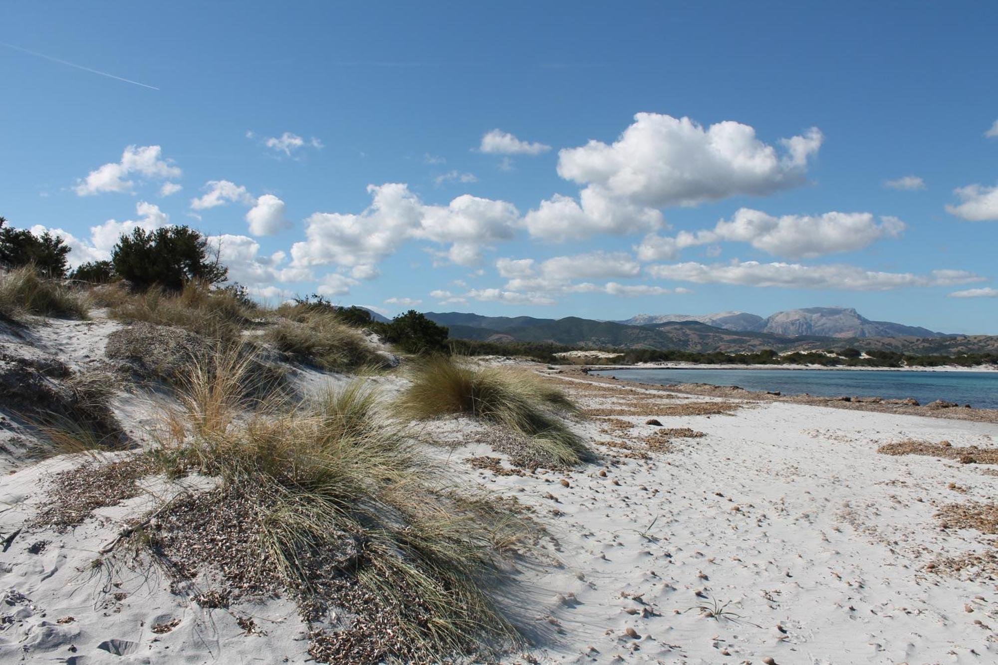 Villetta 1.2 Km Dalla Spiaggia Budoniaffitti Tanaunella Buitenkant foto